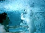 attente immersion